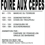 FOIRE AUX CEPES