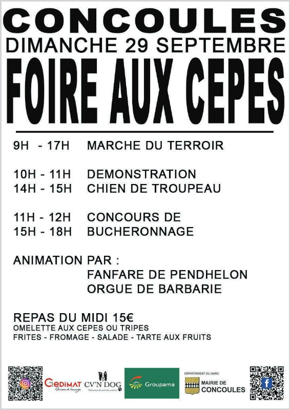 FOIRE AUX CEPES